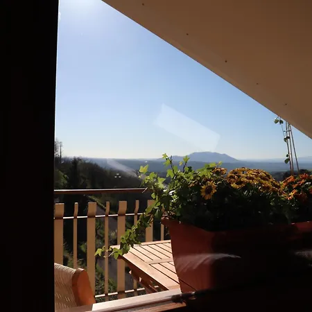 Vacuna Apartment *